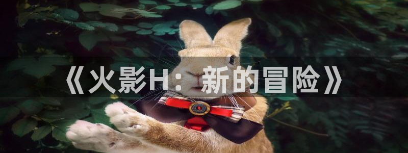 香蕉漫画免费网站：《火影H：新的冒险》